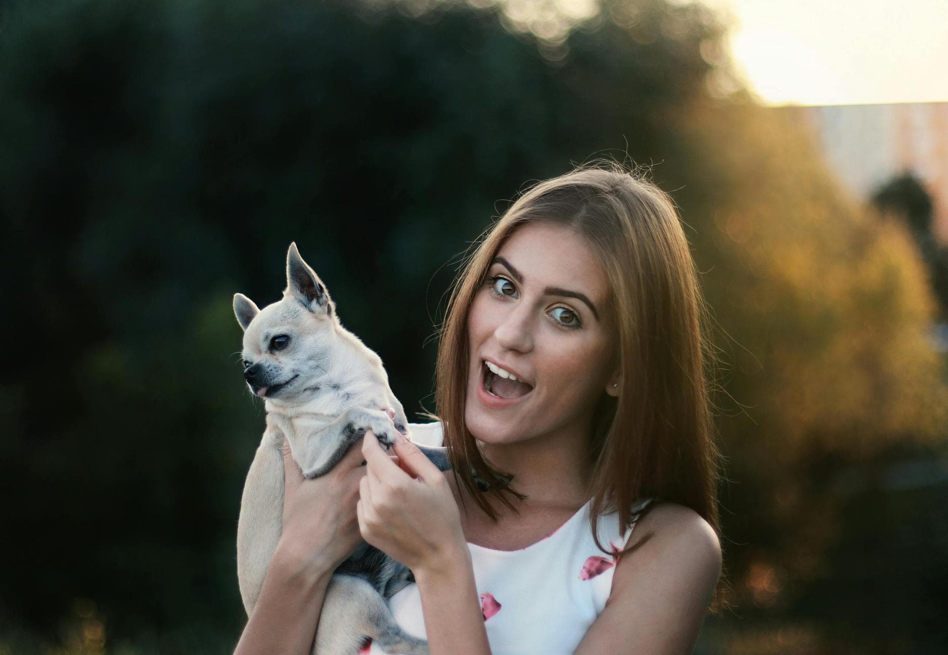 Dog & Cat Vets in Bend